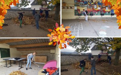 Paysagistes en herbe