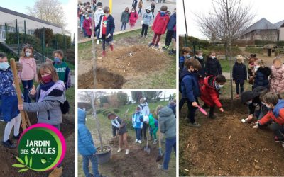 Projet : une année = un arbre 1ère édition