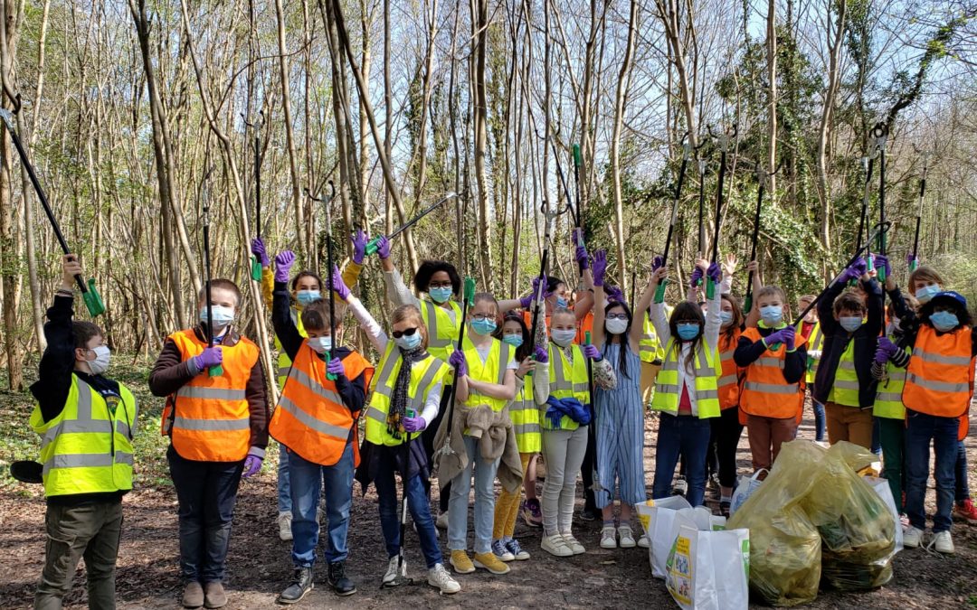 Opération forêt propre