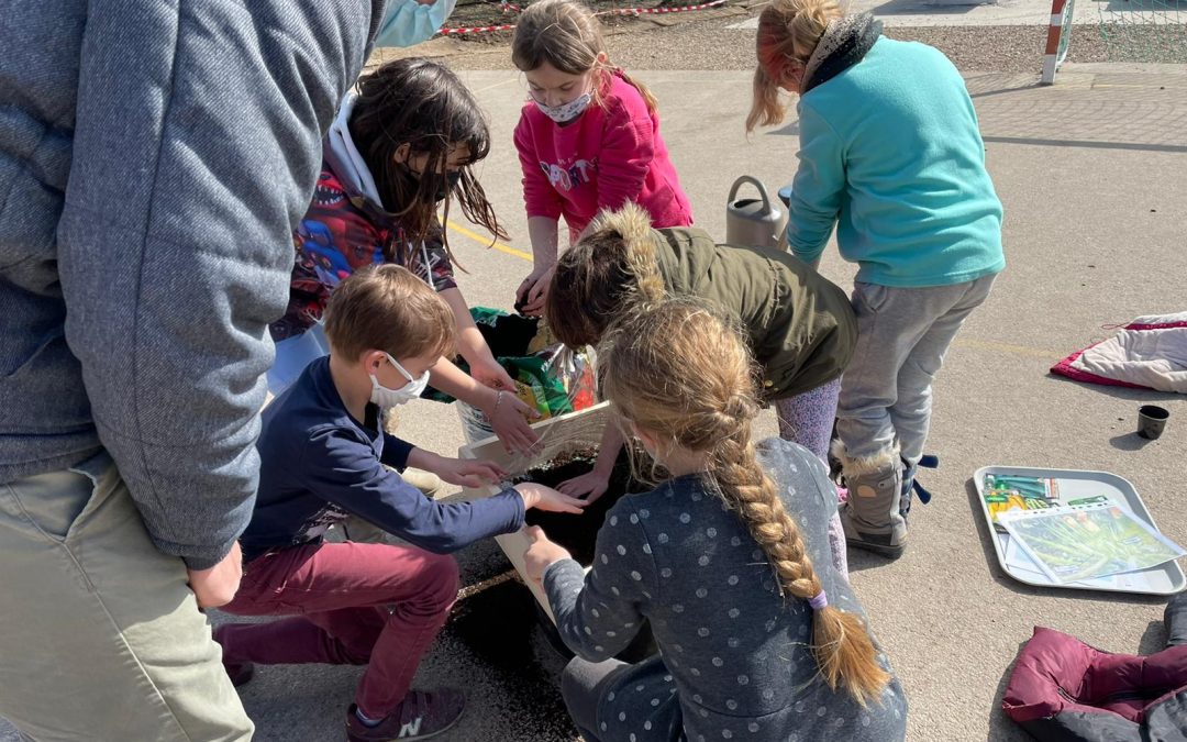 Un air de printemps !