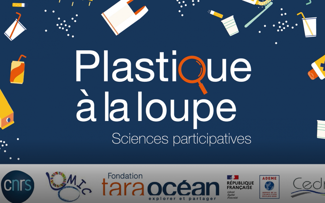 Plastique à la loupe