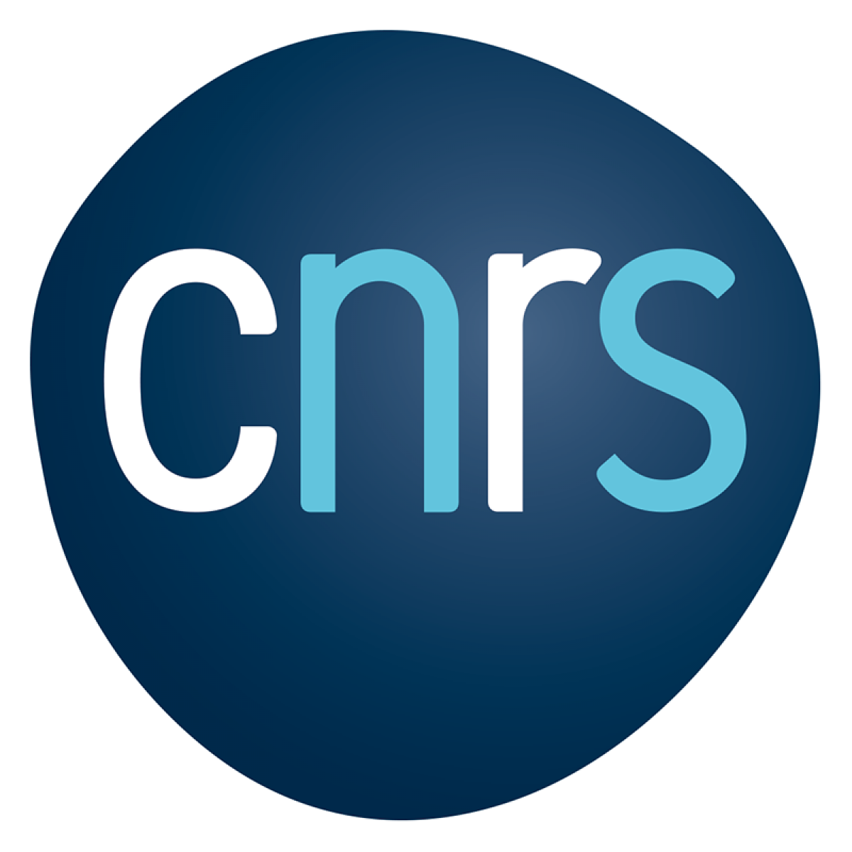 logo_cnrs