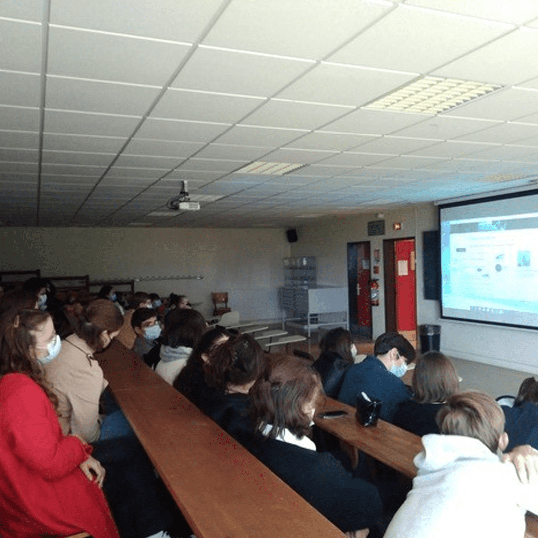 stad_lycee_univ-lycee_p1