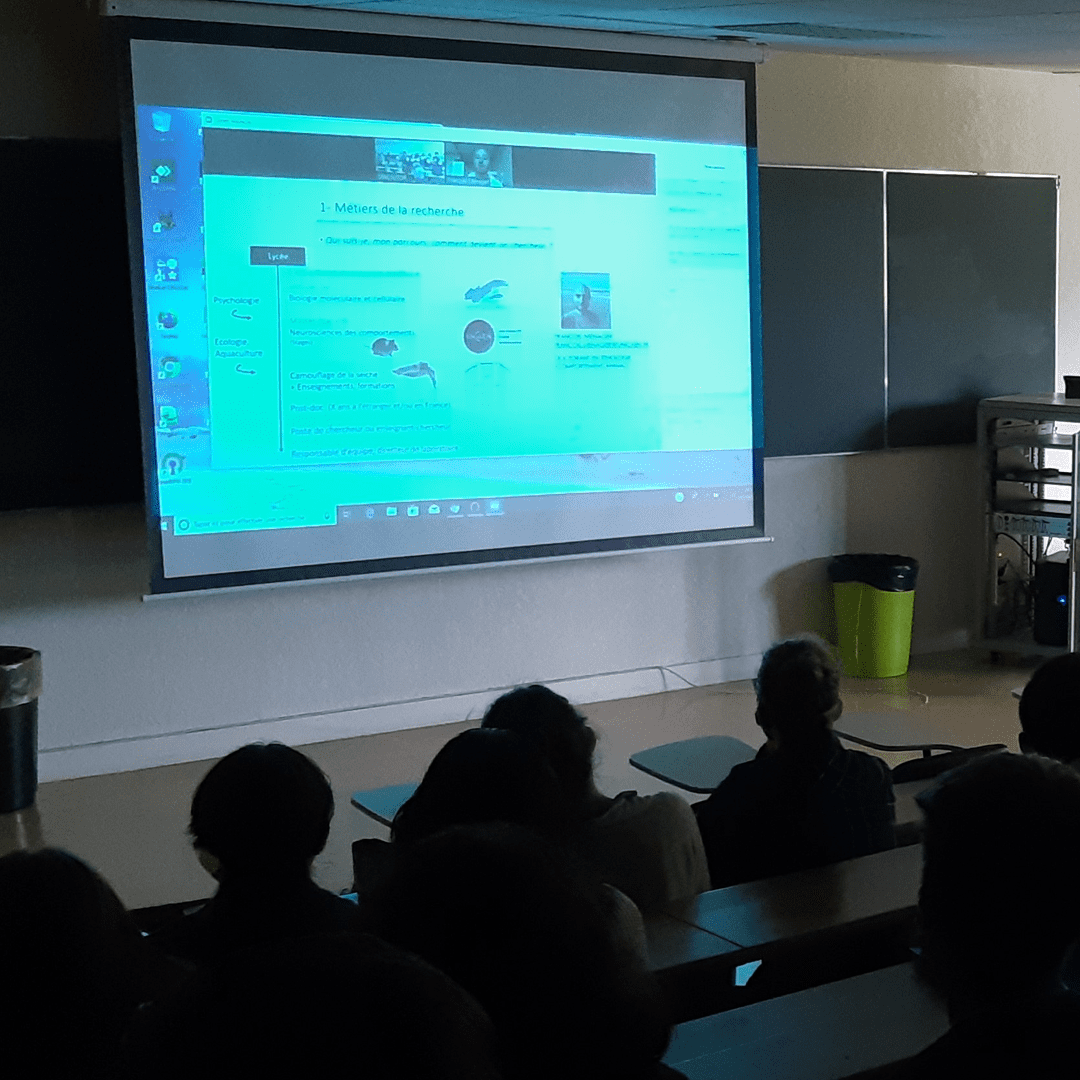 stad_lycee_univ-lycee_p2