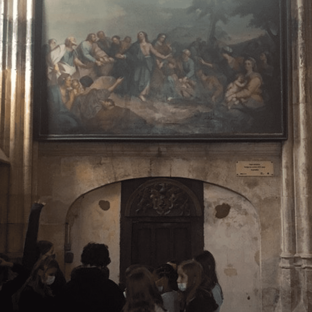 stad_pasto_vernon_coll_p6