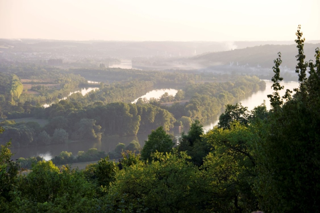 Image1