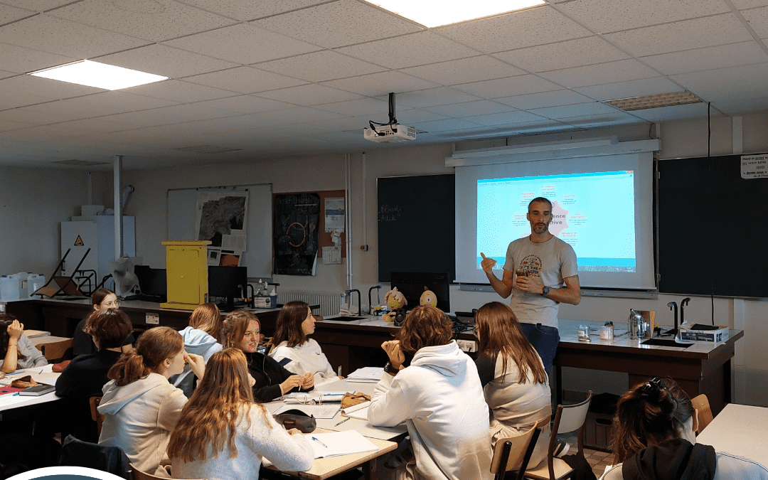 Là où butinent les abeilles..