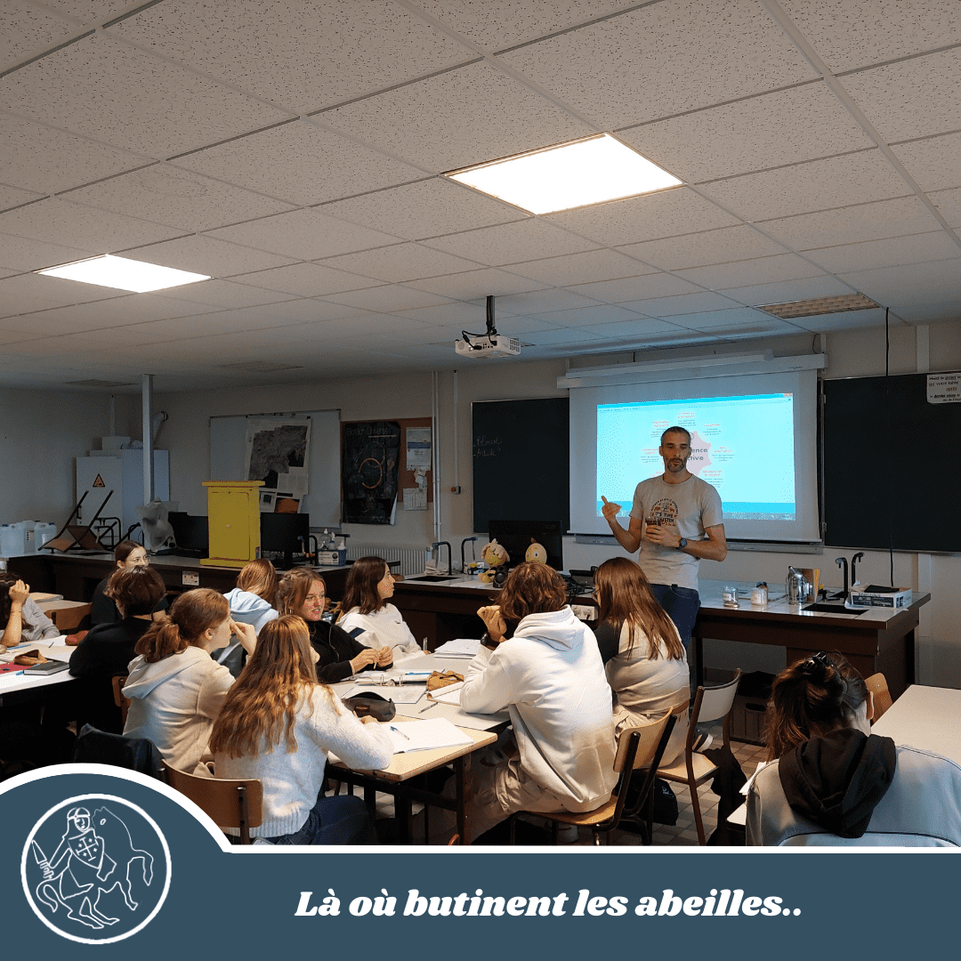Là où butinent les abeilles..