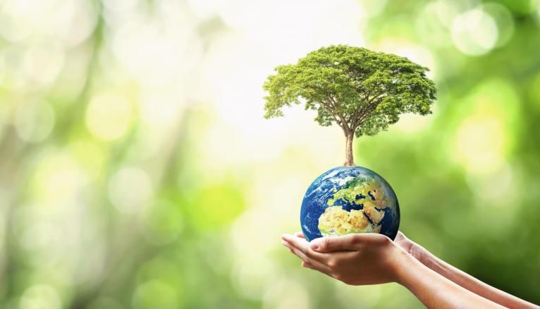 Poème sur la pétrographie